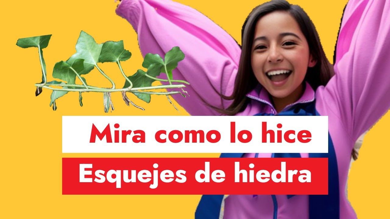 Como ENRAIZAR  ESQUEJES de HIEDRA de forma muy fácil [PASO a PASO]