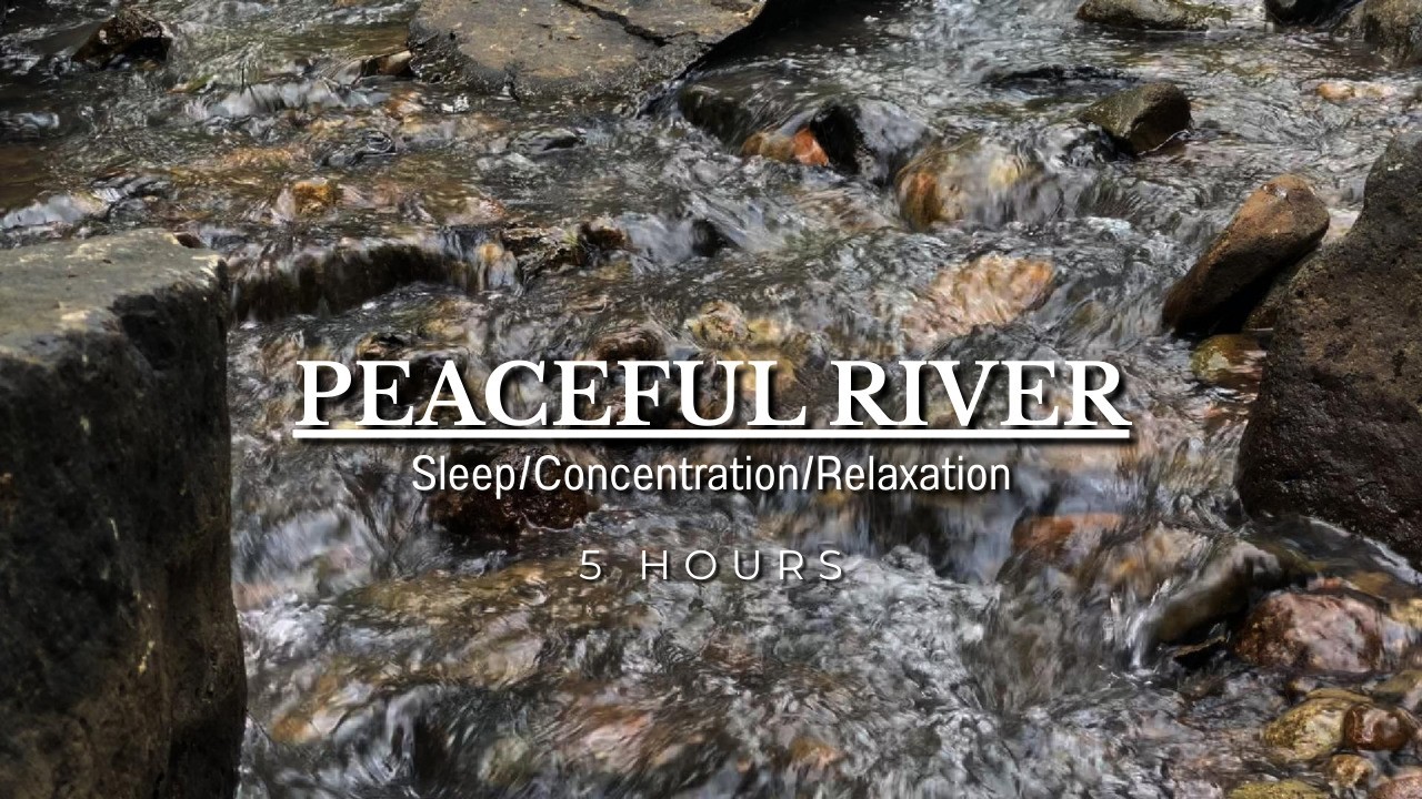 Peaceful River Water Sounds, Light Forest Birds, Calming Natural Ambience