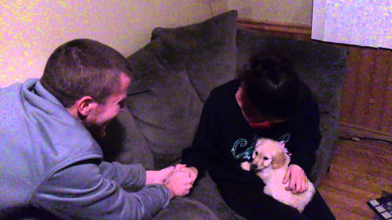 Surprising my wife with a puppy