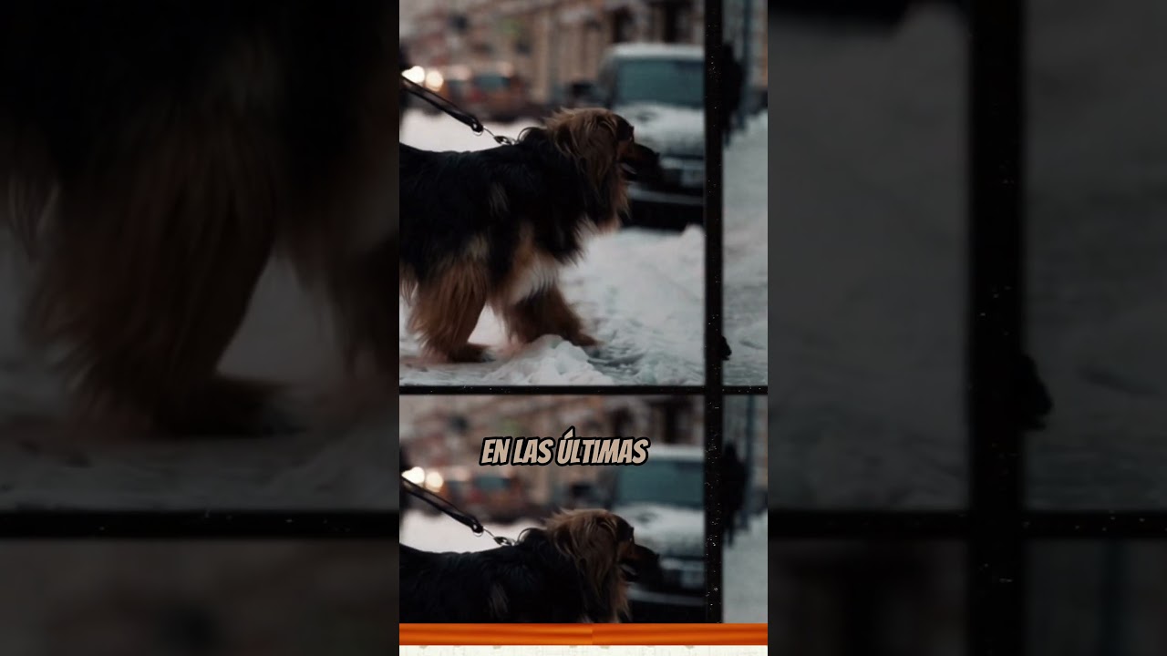 📣 Reconocimiento oficial eleva a 205 las razas 🐕 