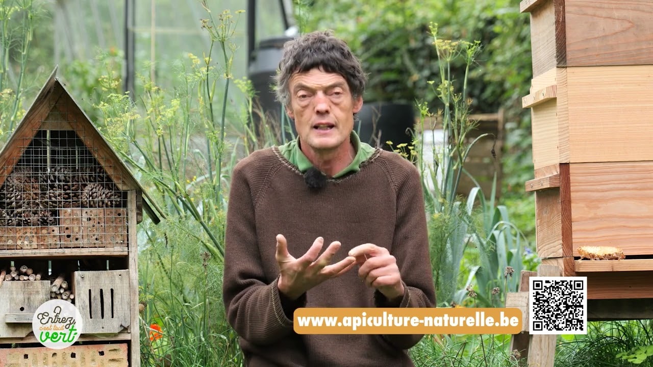 Apiculture Naturelle