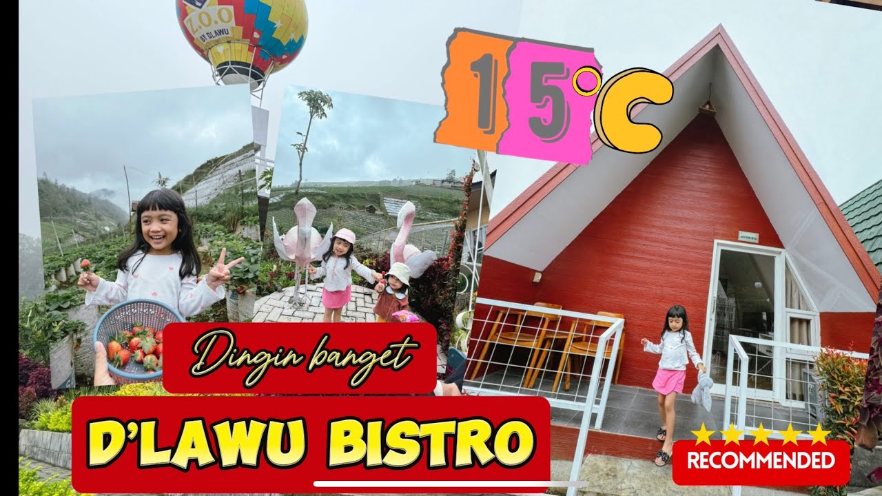 D’Lawu Bistro 2024. Dingiiin !! Tempat nginap mantab di Tawangmangu. Rekomendasi wisata keluarga