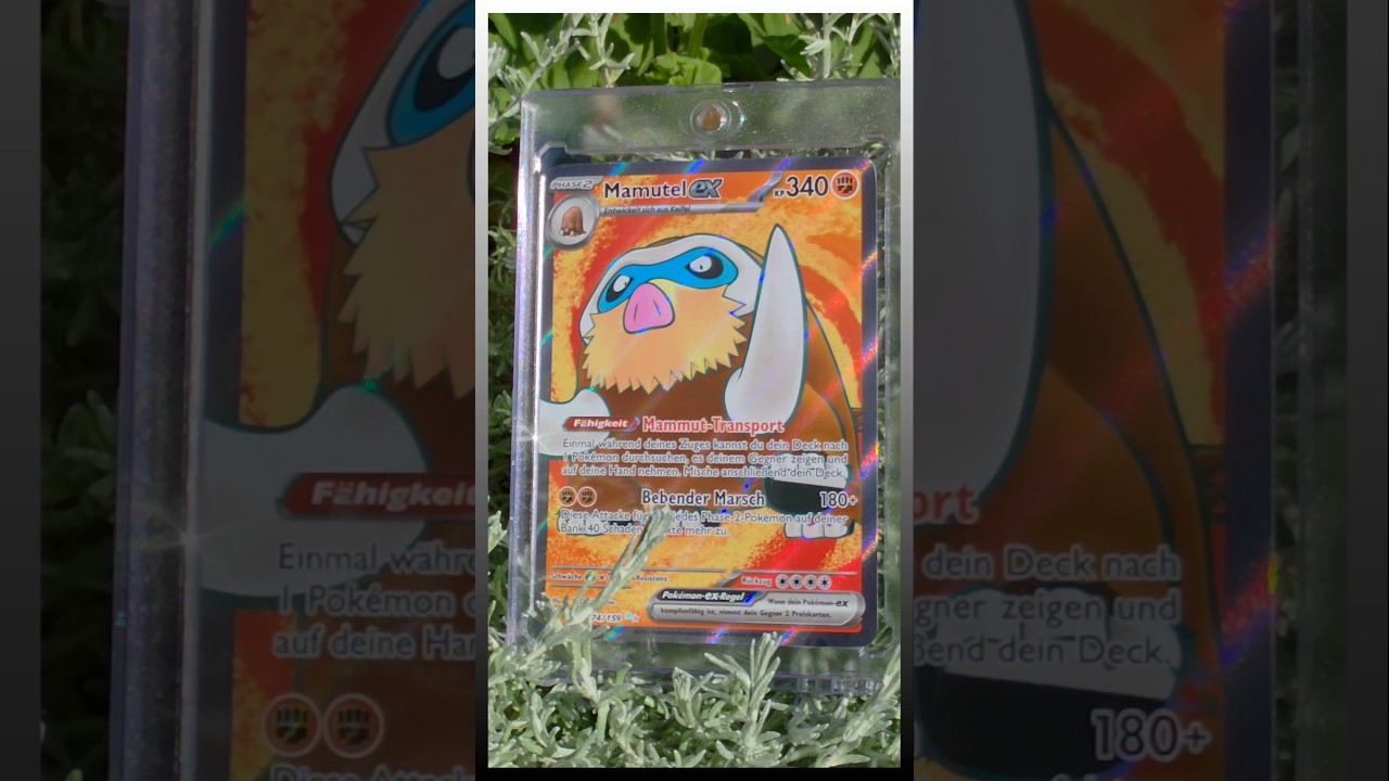 Mamoswine ex full art close up in the sun Look absolutly amazing #pokemon #pokemontcg #pokemoncard