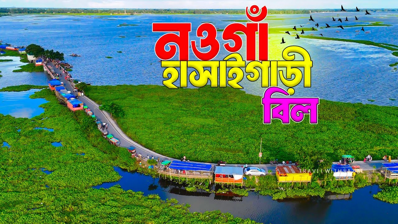 হাসাইগাড়ী বিল নওগাঁ পর্যটনের নতুন সম্ভাবনার দিগন্ত | হাসাইগাড়ী বিল নওগাঁ | Hasaigari Beel | নওগাঁ
