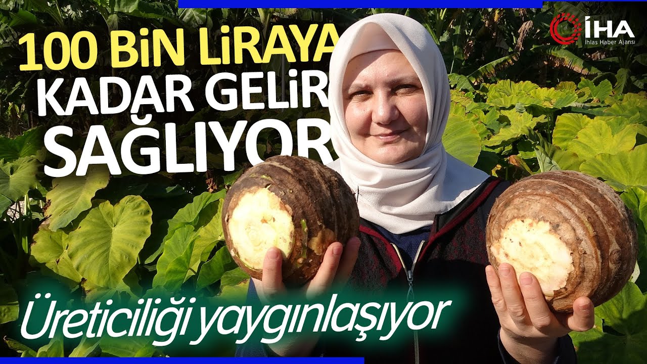 Mersin'de Gölevez Olarak da Bilinen Kolakasın Bahçesi Kuruldu