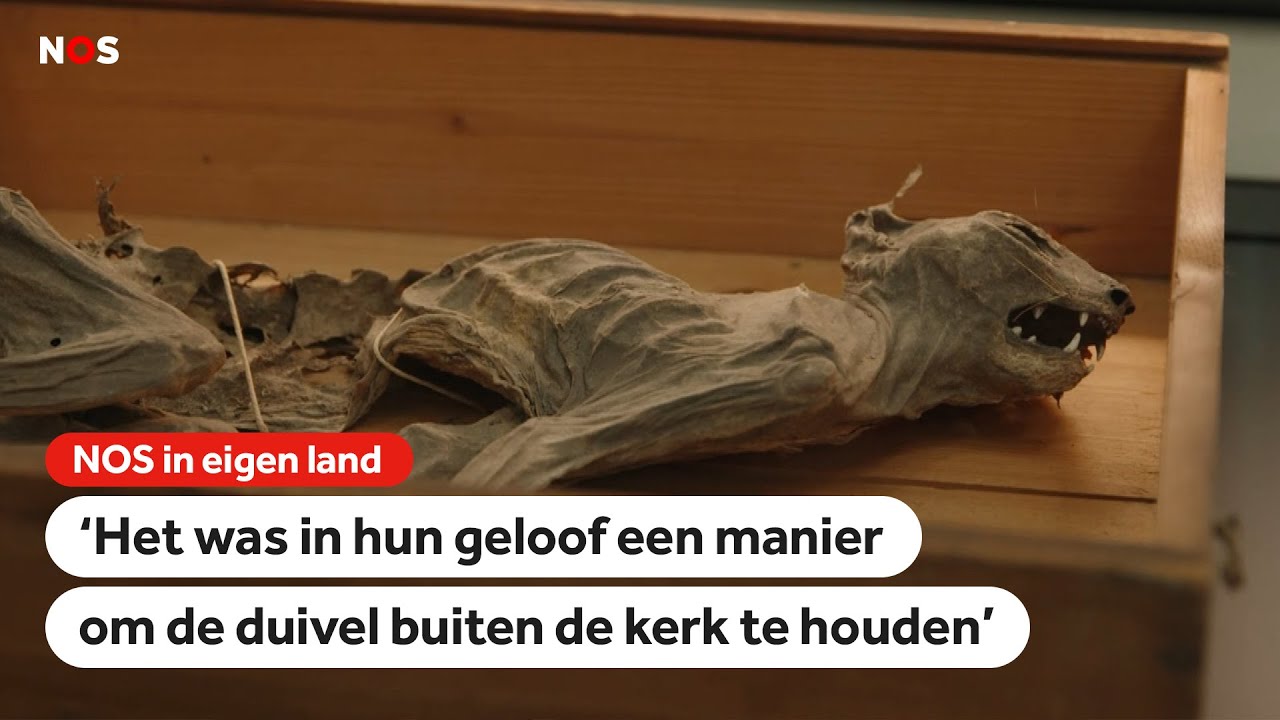 Ingemetselde mummiekat terug in Bredase kerk