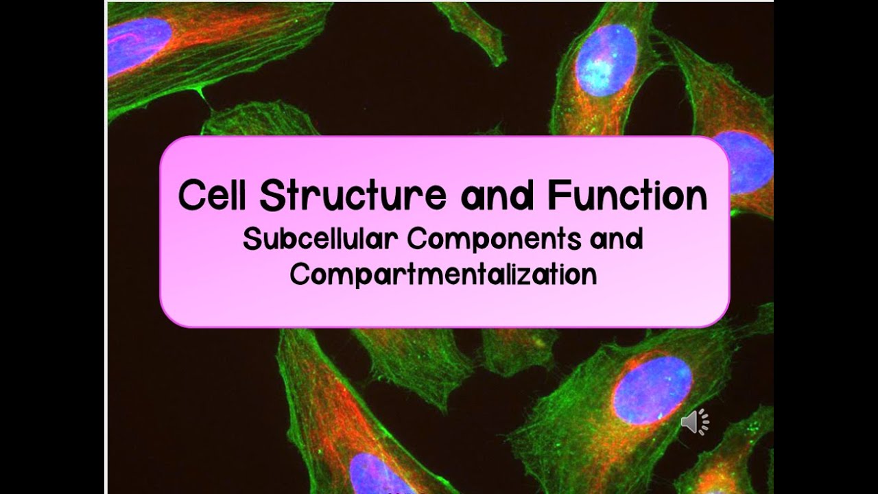 Cell Structure, Function & Compartmentalization (2.1 & 2.10 -2.11)