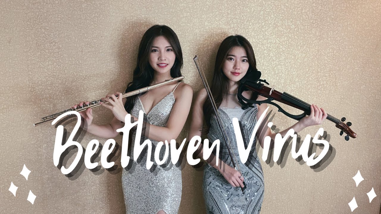 《貝多芬病毒 Beethoven Virus》小提琴＆長笛版本｜cover by 長笛琴人