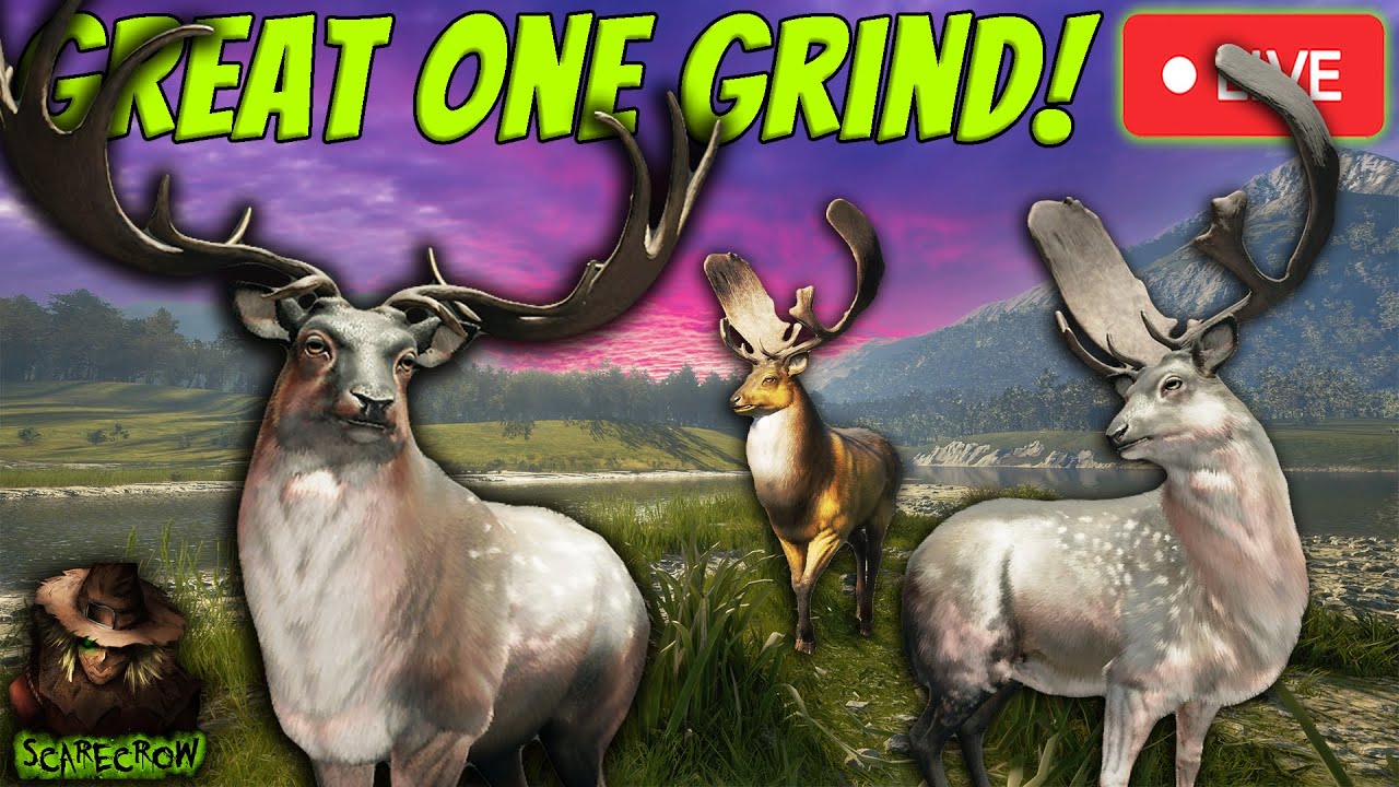 SUPER RARE DOWN! Video At 6pm PST! Lets Get Great One Fallow #5 In the Meantime! Call of the wild