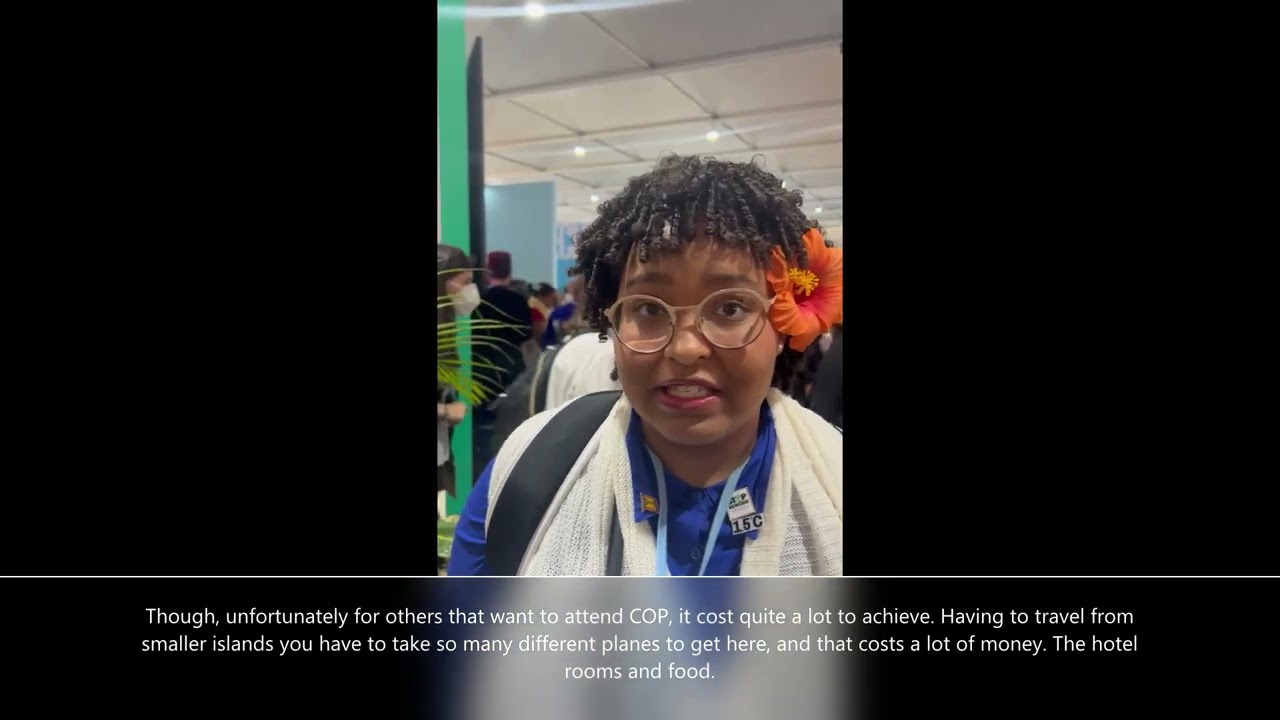 Civil Society at COP27 - Jovana Hoschtialek
