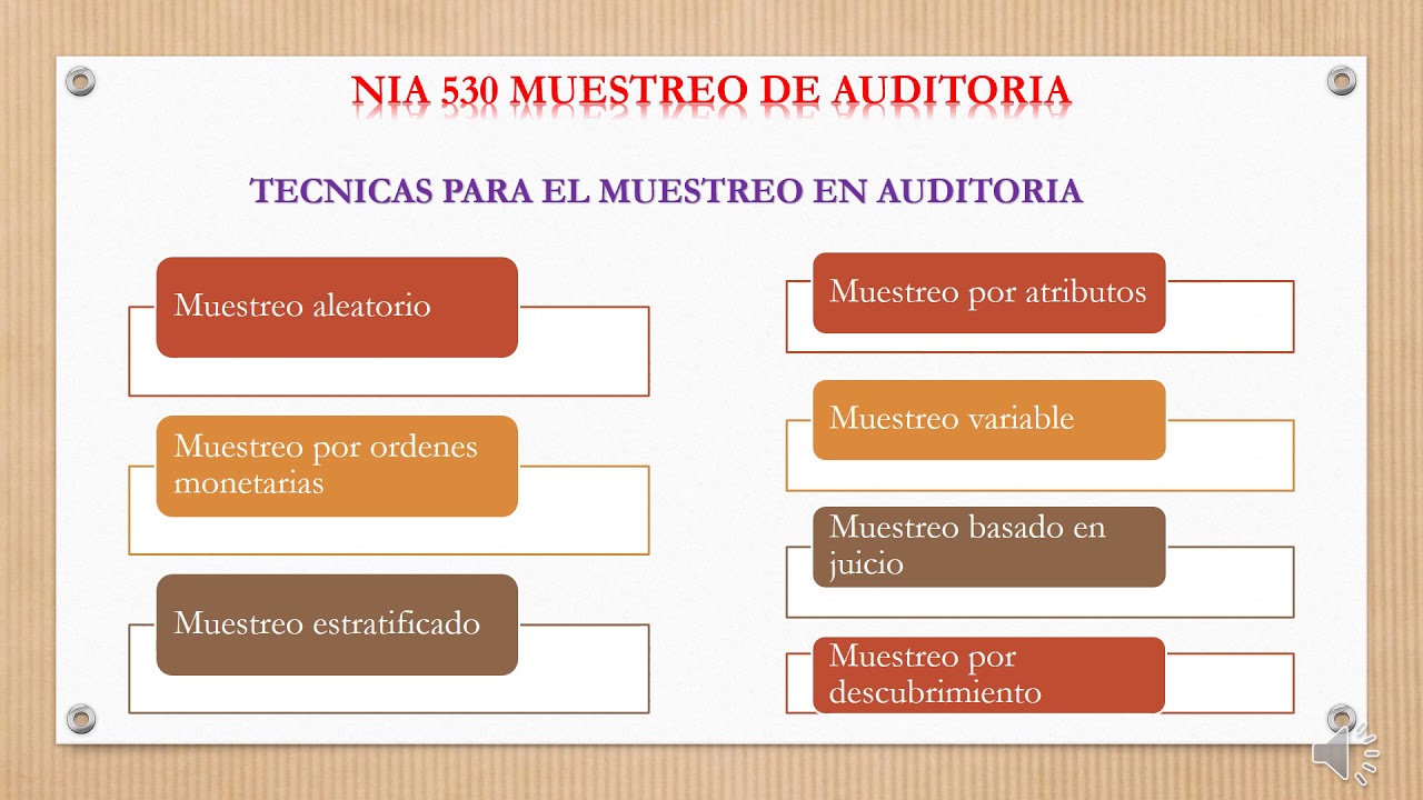 NIA 530 MUESTREO DE AUDITORIA