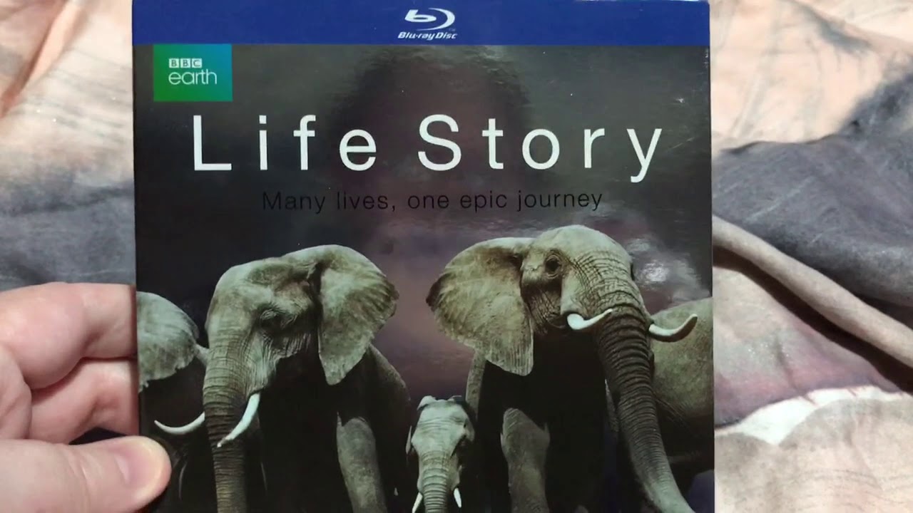 My David Attenborough Collection!
