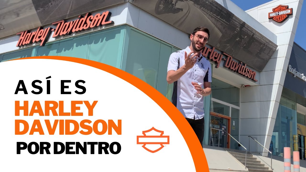 Harley Davidson Alicante, así es su tienda por dentro