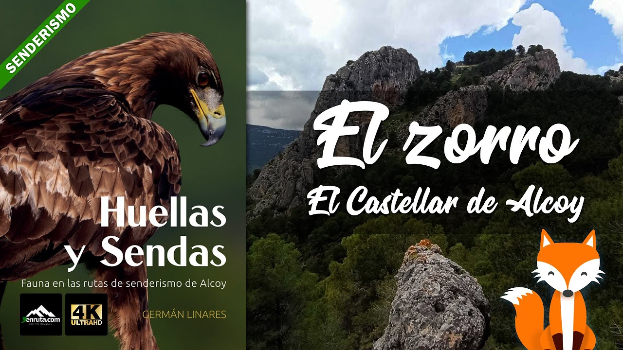Ruta de senderismo en Alcoy  - El Castellar - Huellas y Sendas Cap.2: El zorro