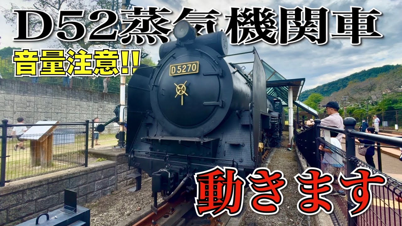 【日本でここだけ!!】動く国鉄最強のD52蒸気機関車が凄すぎました…