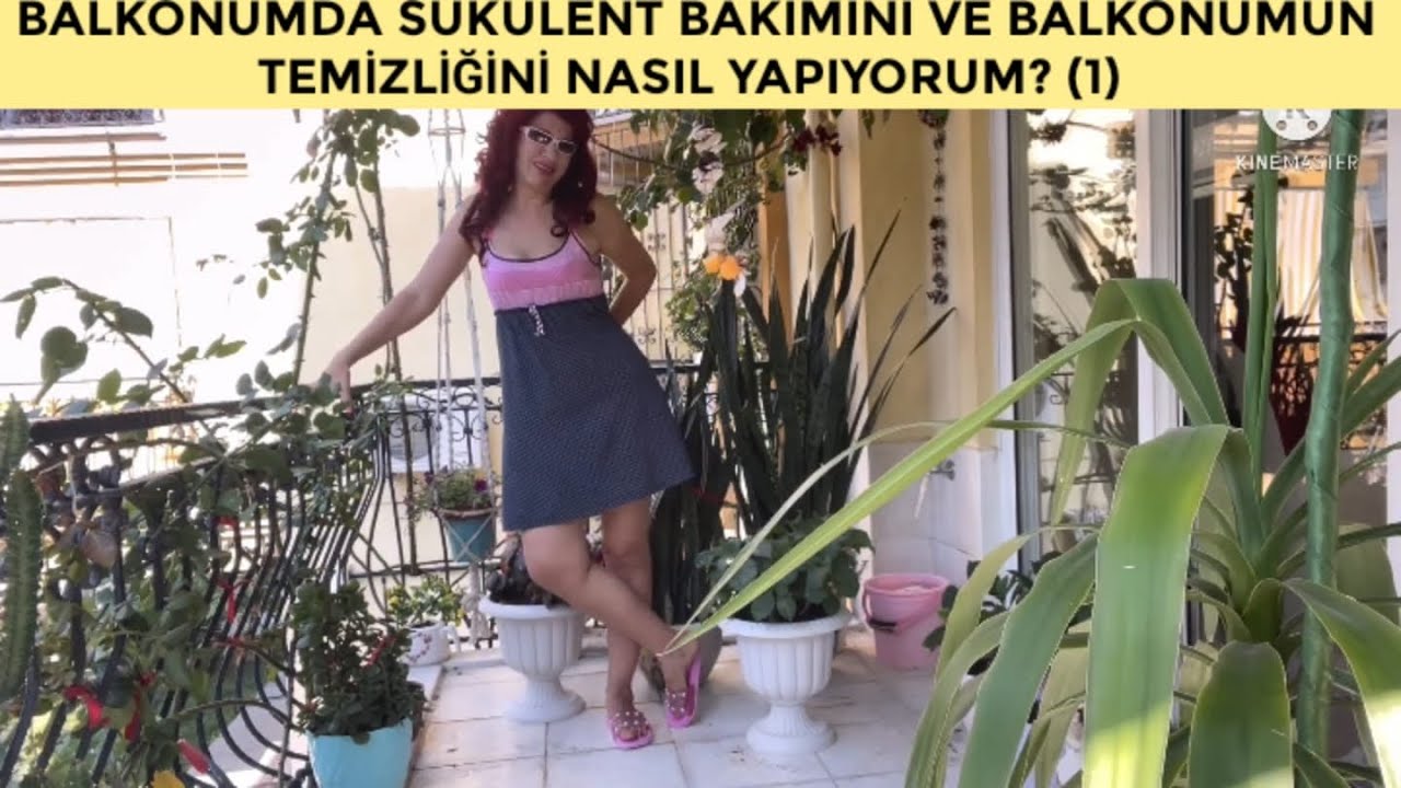 BALKONUMDA SUKULENT BAKIMINI V BALKONUMUN TEMİZLİĞİNİ NASIL YAPIYORUM ? (1)  ( VLOG )