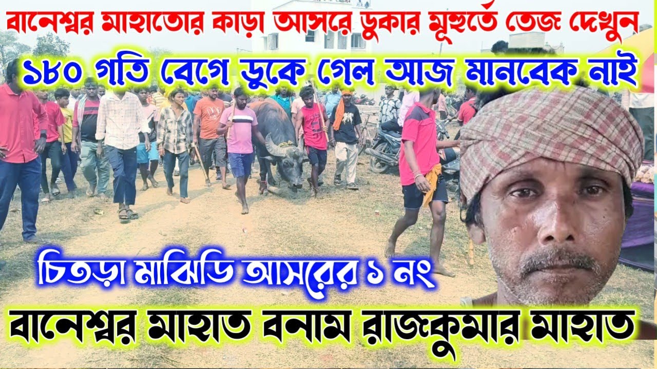 বানেশ্বর মাহাতোর ১ নং কাড়া আসরে ডুকার মূহুর্তে তেজ দেখুন।১৮০ গতি বেগে ডুকে গেল।আজ ফুল মৌসম আছে।