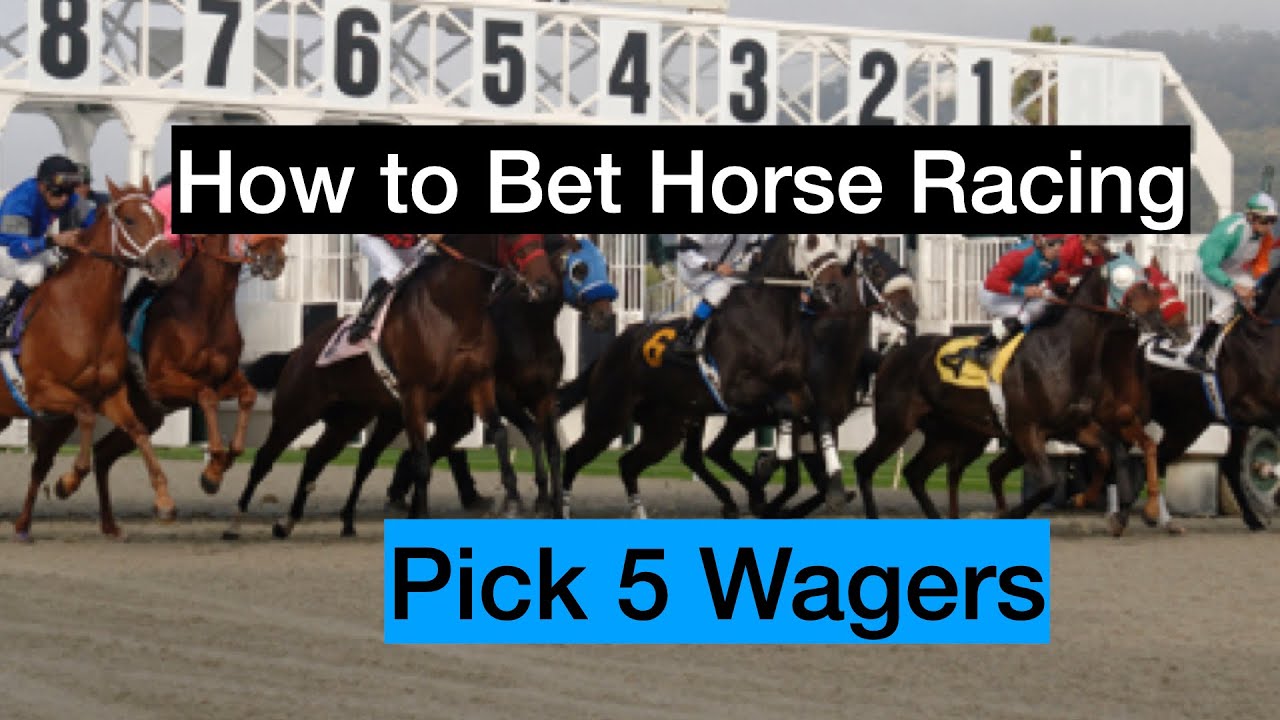 How To Bet Horse Racing: Pick 5 Money Making Strategies