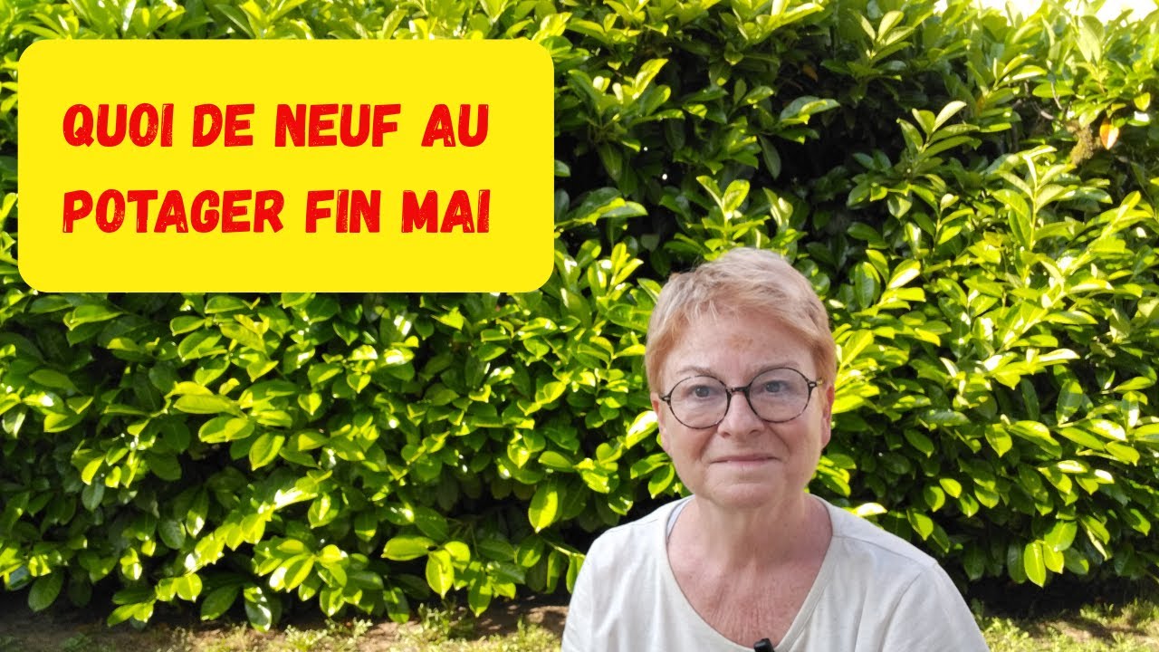 AU POTAGER FIN MAI.