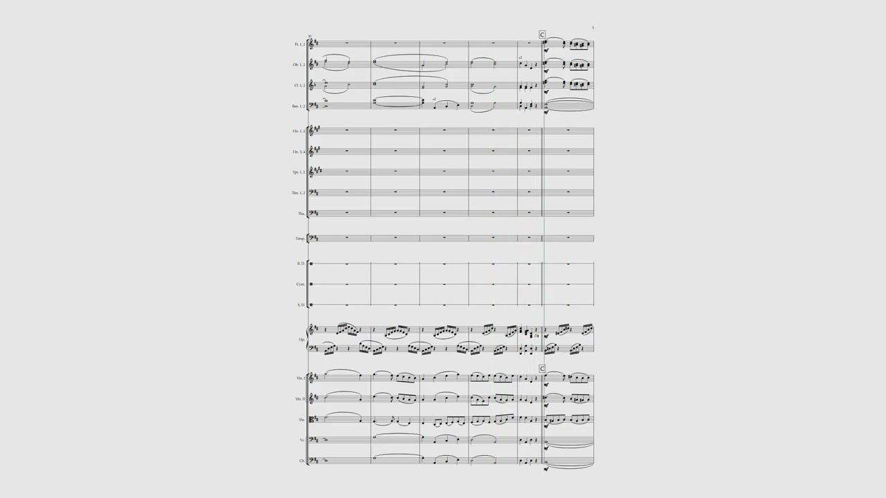 Xander Tan: Allegretto for Orchestra in D major, Op. 26 (original composition) (double wind version)