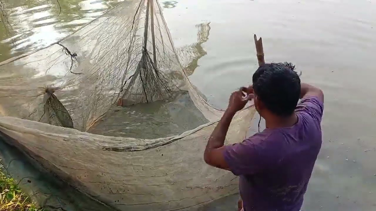 FISHING VIDEO VILLAGE 😎