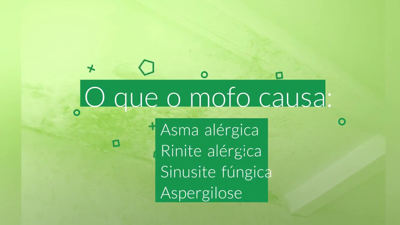 Voc&ecirc; sabe o que &eacute; mofo? Saiba como evitar?