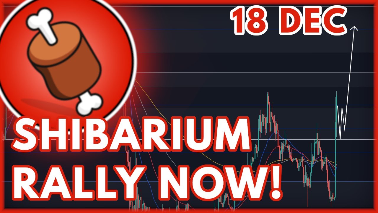 BONE PRICE PREDICTION TODAY! | SHIBASWAP (BONE) PRICE PREDICTION & NEWS 2022!