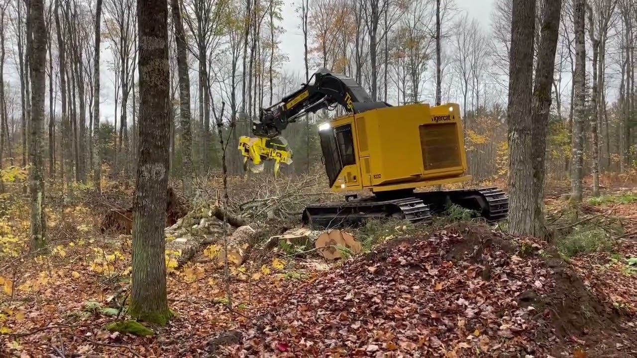 Tigercat 822D w Tigercat 570 Fixed Head