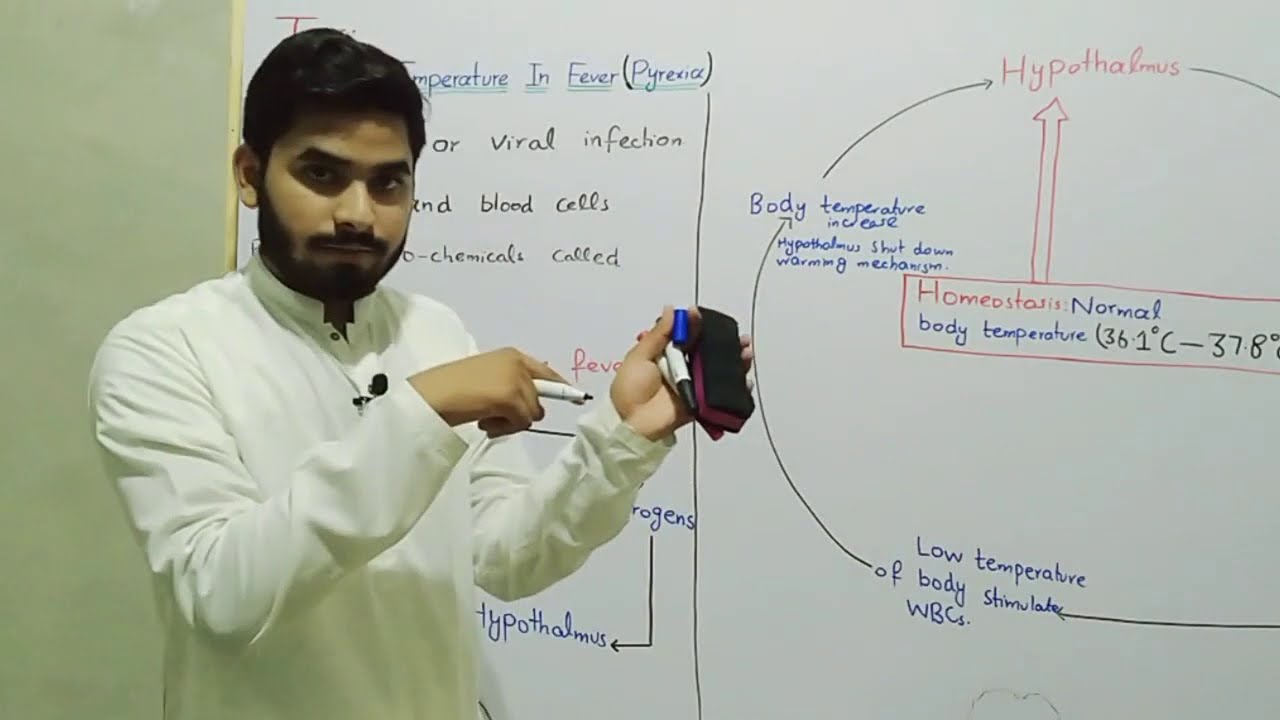 Pyrexia 2nd Year Biology In Urdu Hindi By Mr.Hadi || Pyrexia And Pyrogens || Pyrexia Fever Ch#15