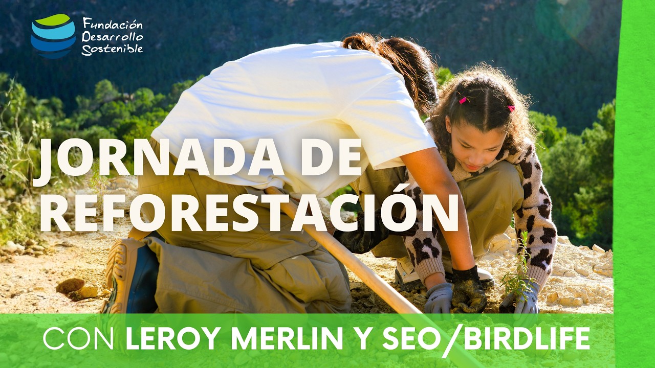 Jornada de reforestación con ⁨@leroymerlinesoficial⁩