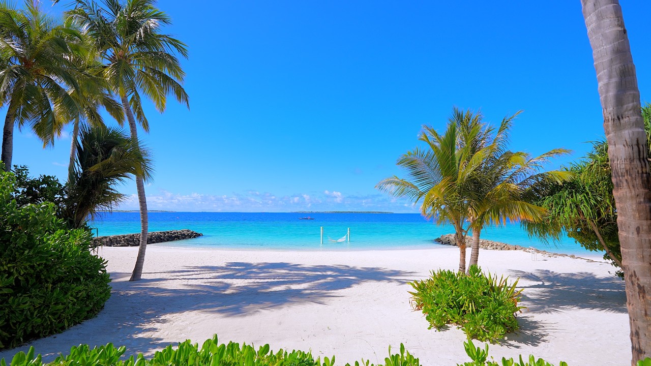 Blue Beach with Calming Ocean Waves. The Most Relaxing Ocean Waves 4K ULTRA HD