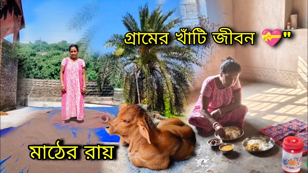 🌄বিকেলে কাজের জোর শুরু হলো সবমিলিয়ে এটাই গ্রামের খাঁটি জীবন ❤️