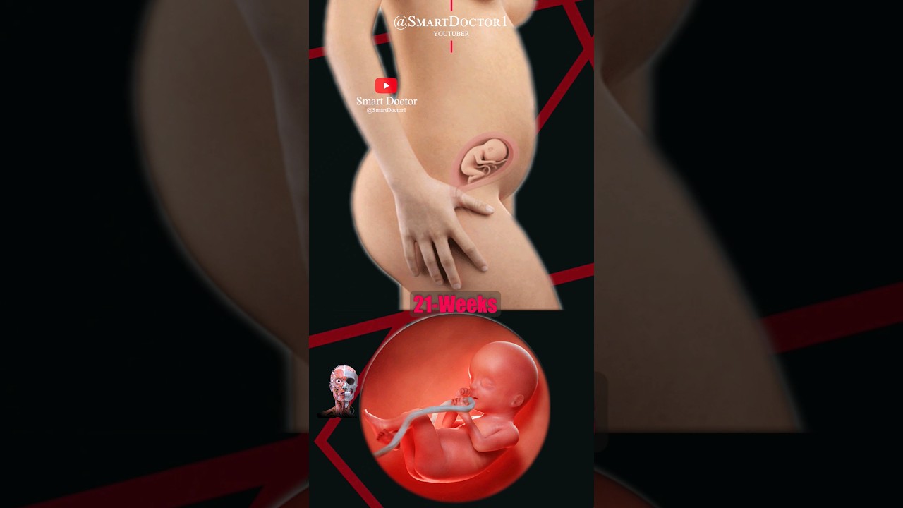 Pregnancy Week by Week 💕