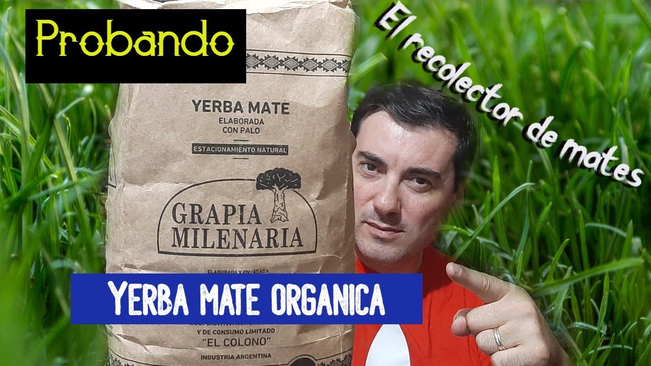 Probando yerba mate organica, Grapia Milenaria de Misiones.