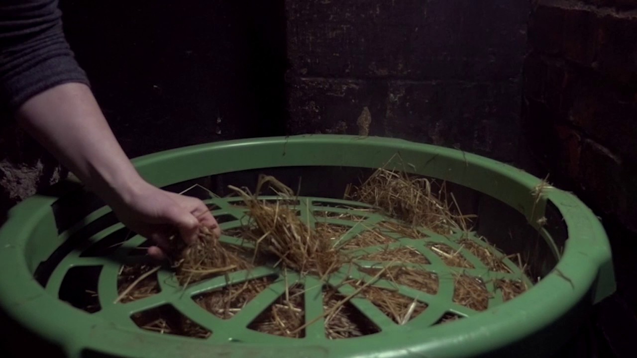 Haygain Forager