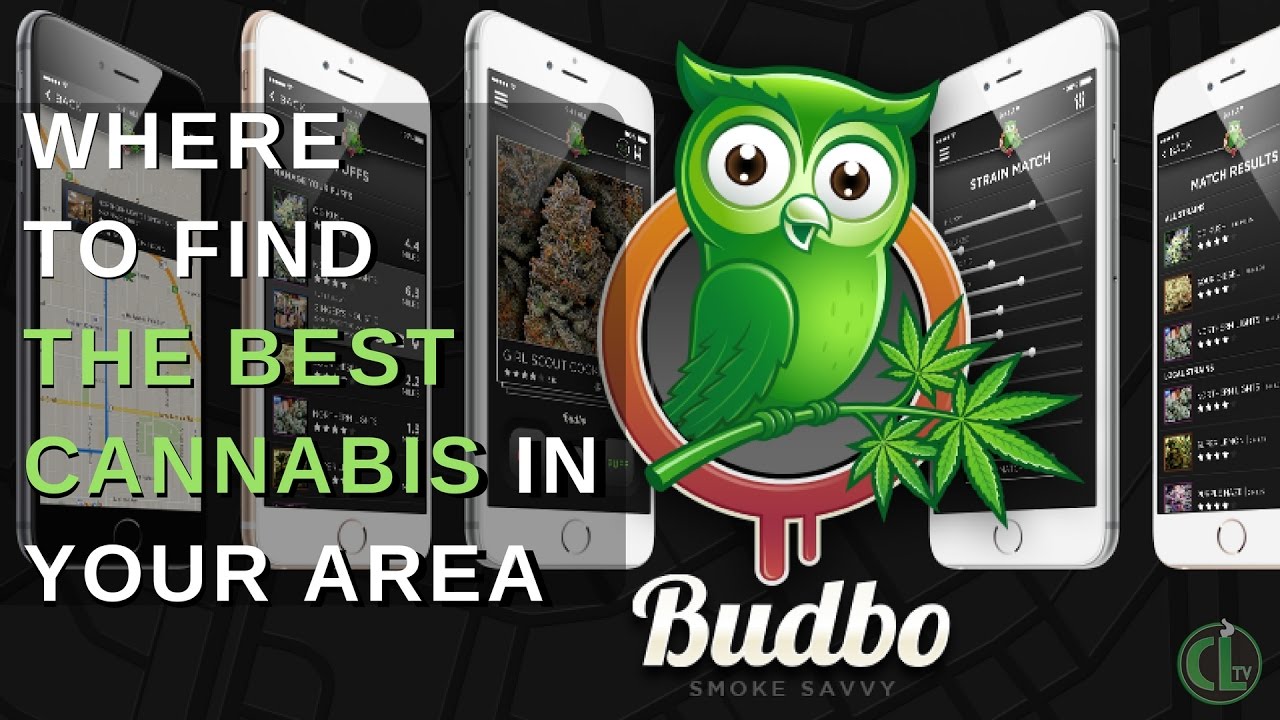 What is Budbo? - Cannabis Lifestyle TV