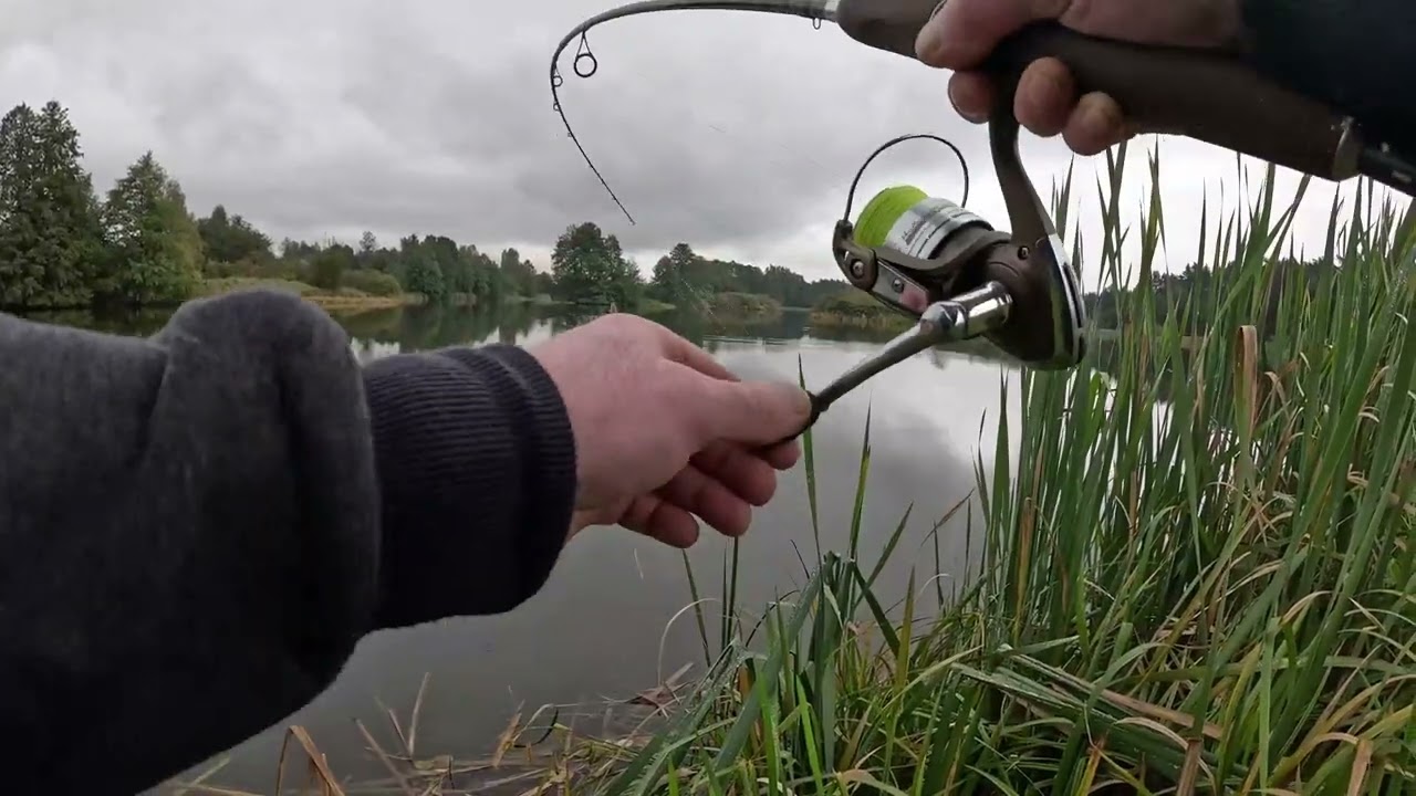 Spinning PZW C34 Kucoby#szczupak  Zobacz ten niesamowity występ!