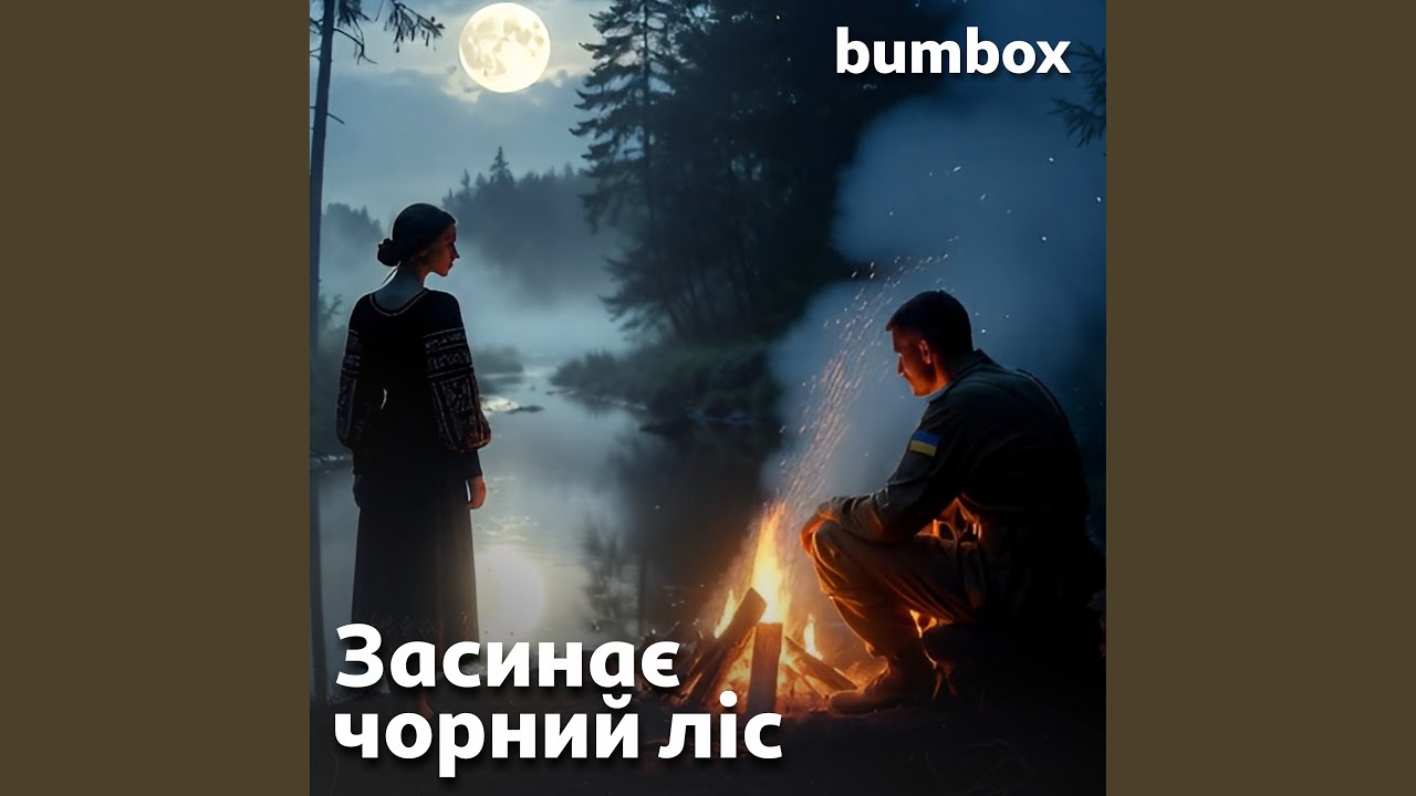 Засинає чорний ліс