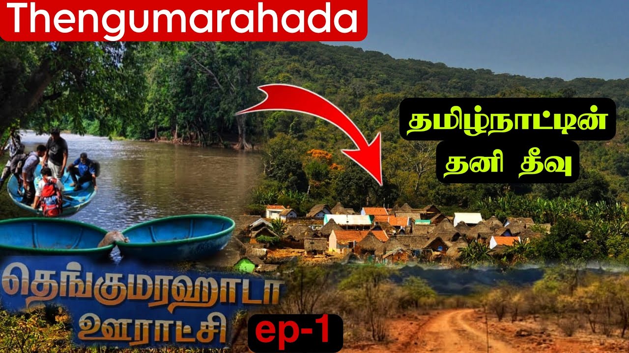 தமிழ்நாட்டின் தனி தீவு Thengumarahada village ஒரு பயணம்|🐯 Tiger reserve ep-1|enna நடக்கிறது..?