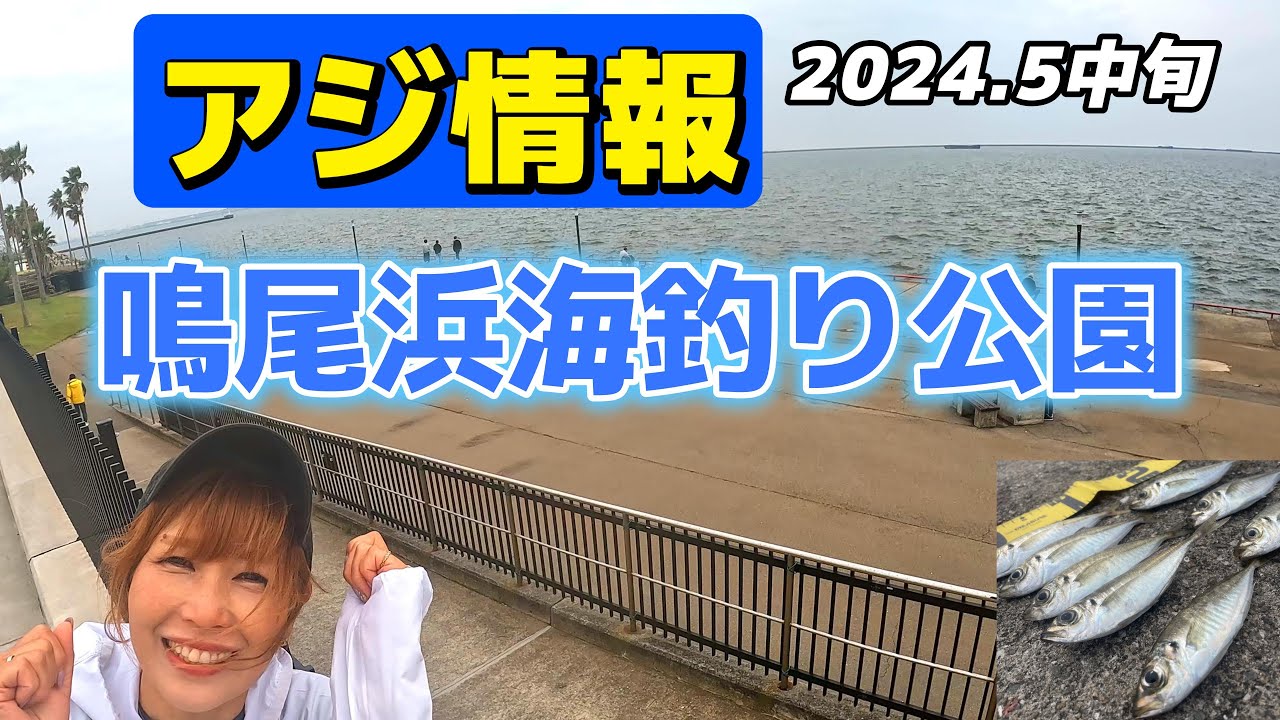 【大阪湾アジ釣り】アジが釣れてると聞いて行ってみた！鳴尾浜海釣り公園釣行