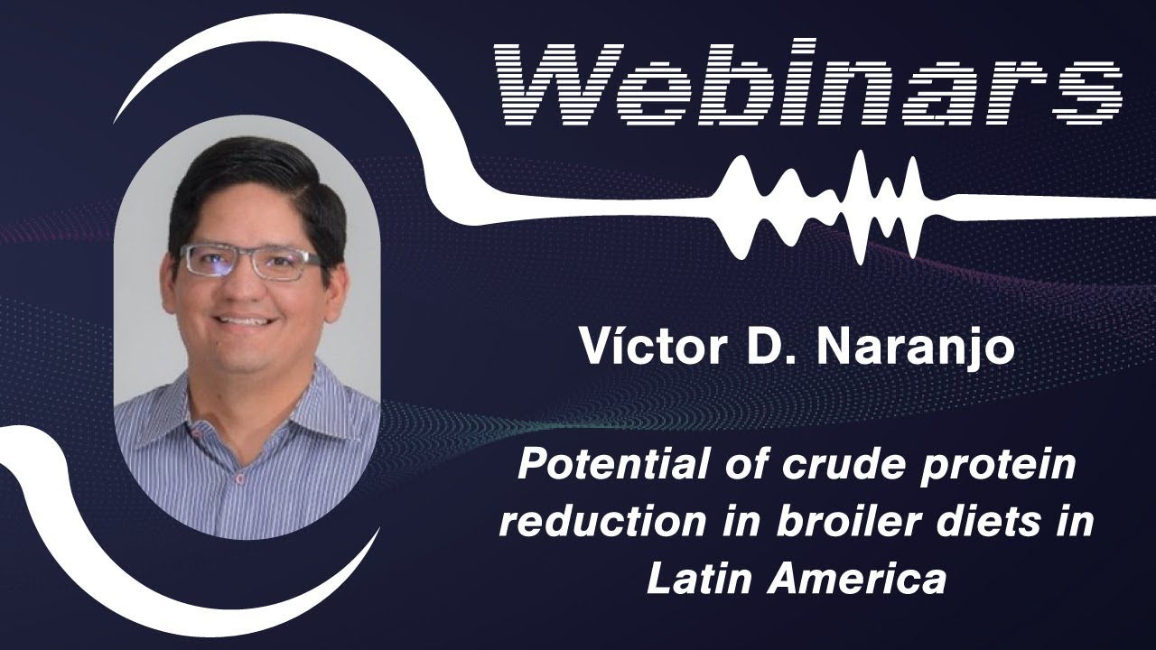 Potential of crude protein reduction in broiler diets in Latin America – Víctor D. Naranjo