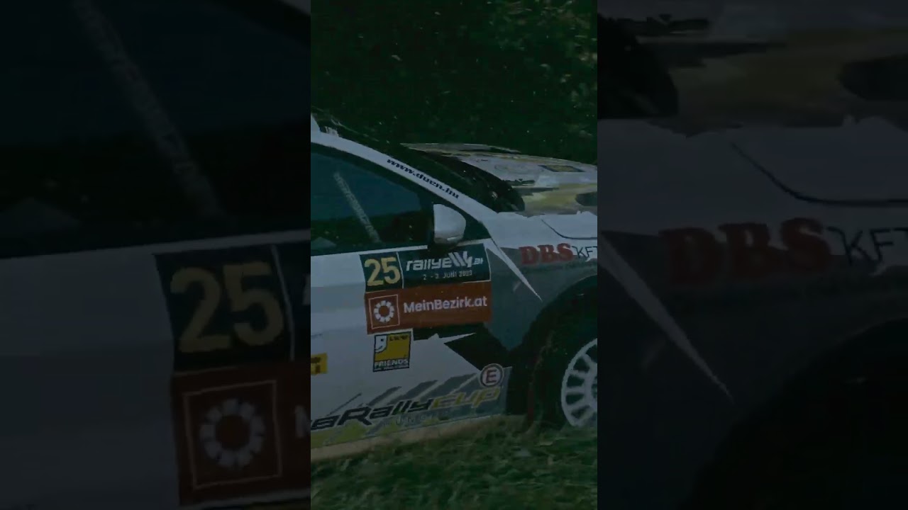 Rally W4 - Peugeot 208 Rally4