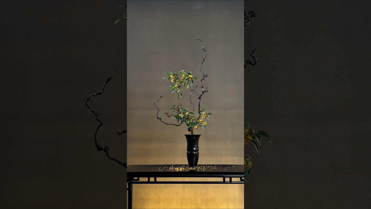 人闲桂花落，夜静春山空。#远征教插花 #中式插花 #东方美学 #桂花 #花道