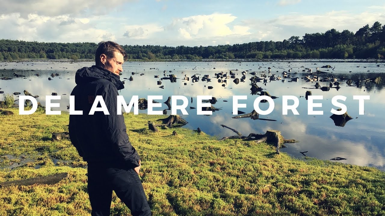 Delamere forest walks Cheshire 2017 HD