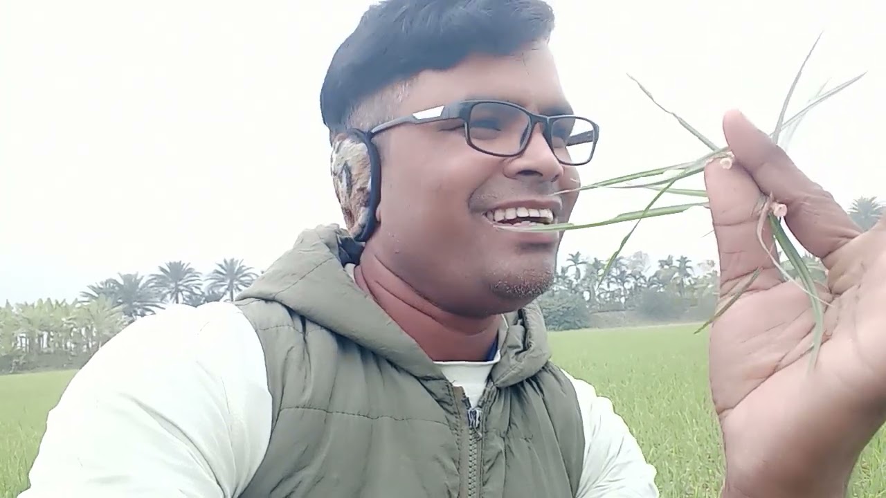 রসুনের জমিতে অনেক ঘাস হয়েছে 