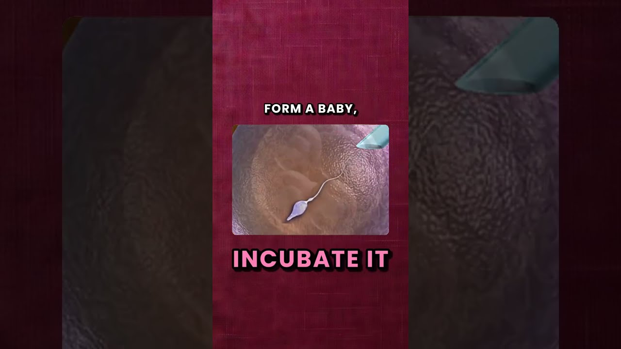 IVF vs. ICSI: know the Difference | Dr. Geetha Haripriya | Senior infertility & IVF specialist