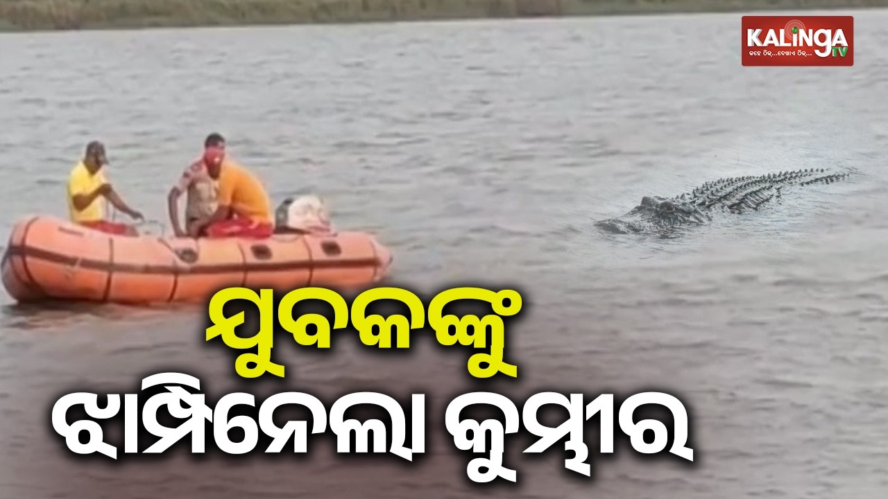 Crocodile drags man into river in Kendrapara district, dies | Kalinga TV