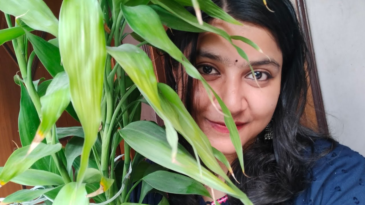 who says you can't be emotionally attached to a plant.