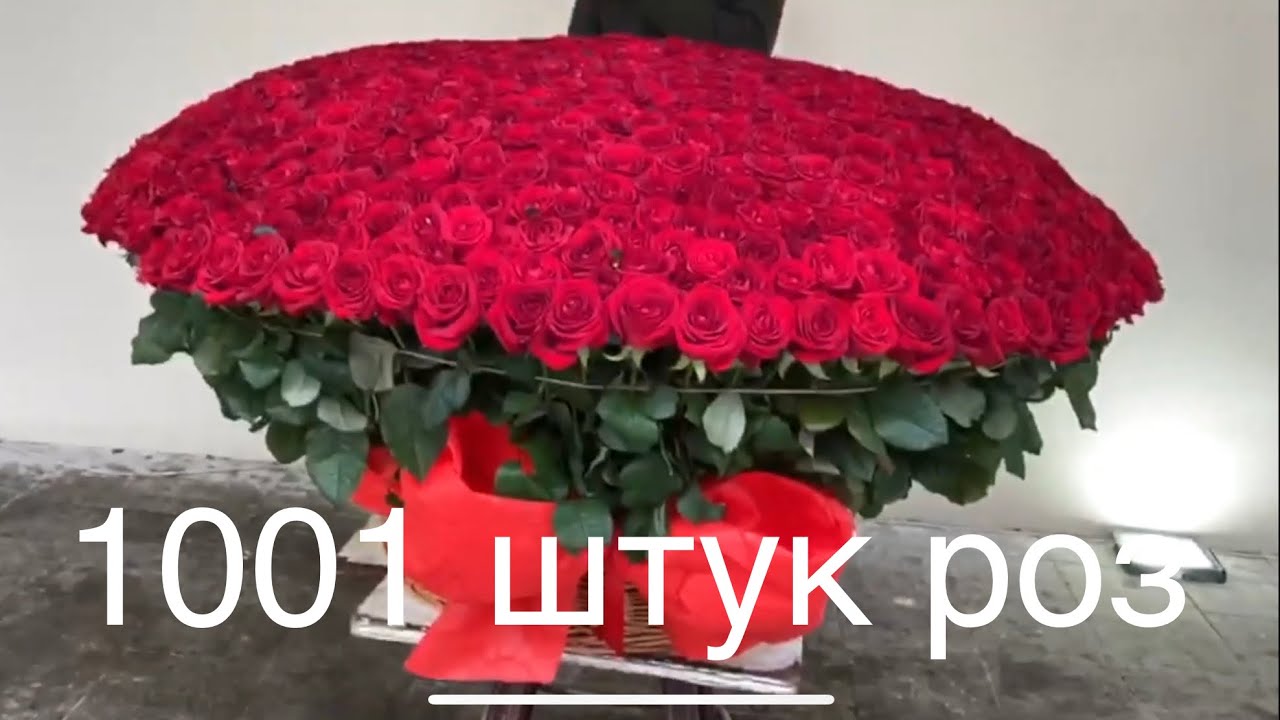 Сборка  1001 роз