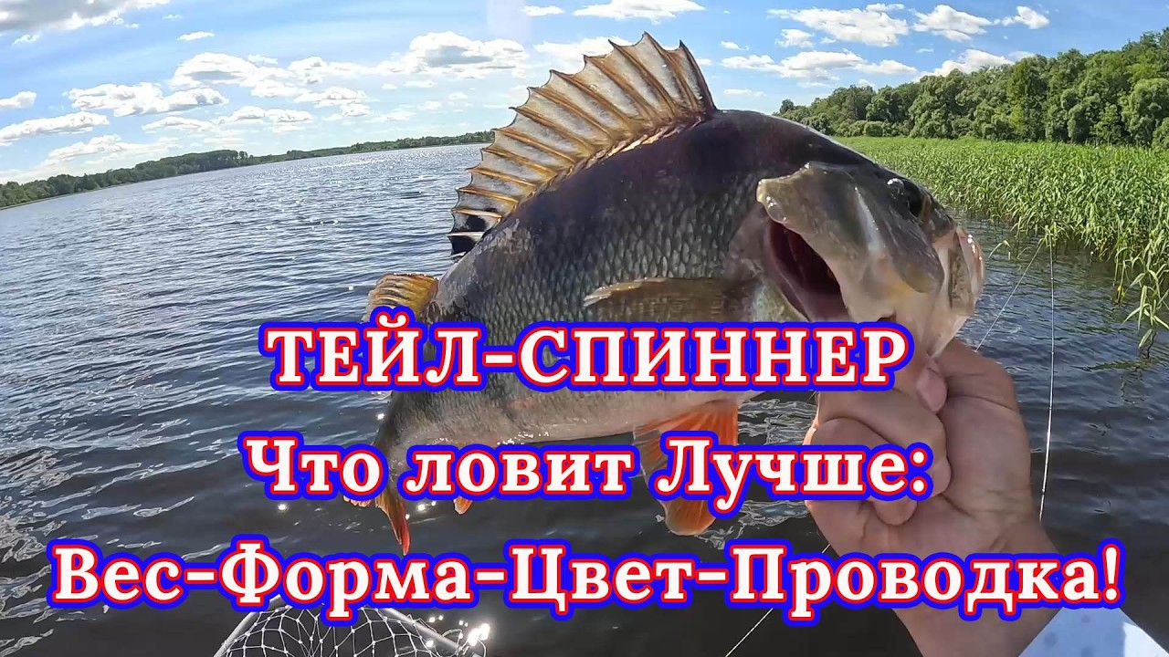 Какой купить тейл-спиннер?  Что ловит Лучше: Вес-Форма-Цвет-Проводка! Уловистые модели!